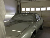 1979 Pontiac Firebird for sale in Michigan (ID-119281)