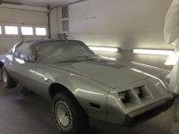 1979 Pontiac Firebird for sale in Michigan (ID-119281)