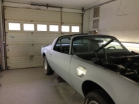 1979 Pontiac Firebird for sale in Michigan (ID-119281)
