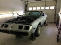 1979 Pontiac Firebird for sale in Michigan (ID-119281)