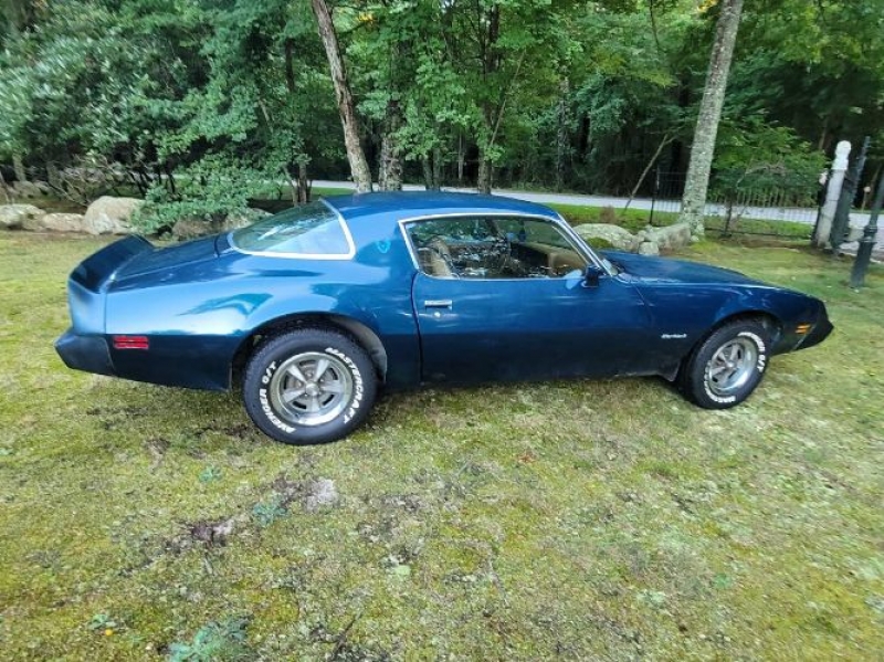 1979 Pontiac Firebird for sale in Michigan (ID-121954)