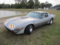 1979 Pontiac Firebird for sale in Michigan (ID-126566)