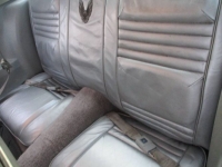 1979 Pontiac Firebird for sale in Michigan (ID-126566)