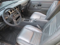 1979 Pontiac Firebird for sale in Michigan (ID-126566)