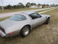 1979 Pontiac Firebird for sale in Michigan (ID-126566)