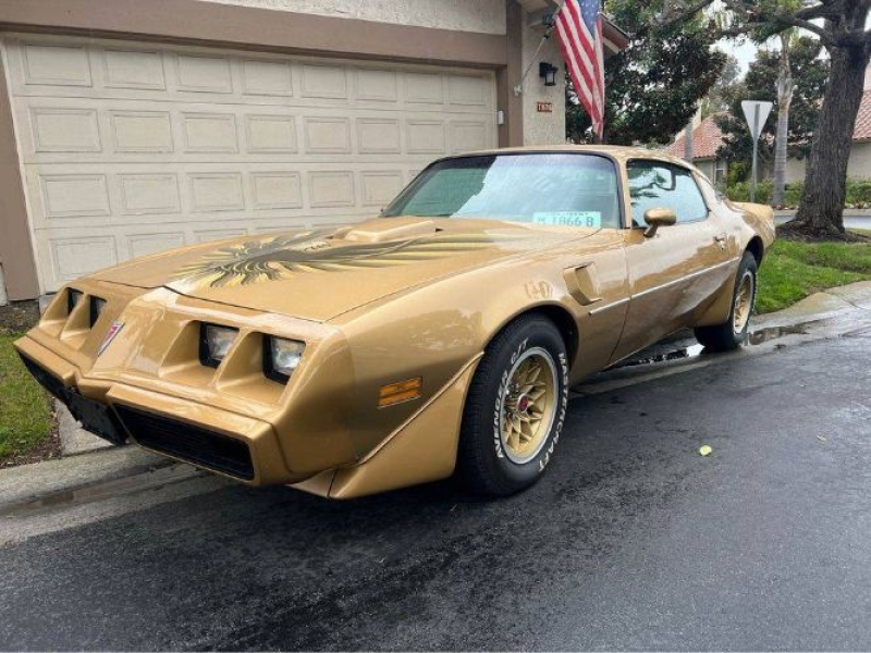 1979 Pontiac Firebird for sale in Michigan (ID-127369) 1979 Pontiac Firebird for sale in Michigan (ID-127369)