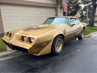 1979 Pontiac Firebird for sale in Michigan (ID-127369)