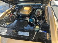 1979 Pontiac Firebird for sale in Michigan (ID-127369)