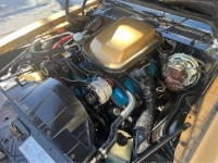 1979 Pontiac Firebird for sale in Michigan (ID-127369)