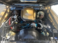 1979 Pontiac Firebird for sale in Michigan (ID-127369)