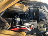 1979 Pontiac Firebird for sale in Michigan (ID-127369)