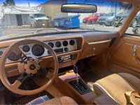1979 Pontiac Firebird for sale in Michigan (ID-127369)