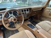 1979 Pontiac Firebird for sale in Michigan (ID-127369)