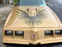 1979 Pontiac Firebird for sale in Michigan (ID-127369)