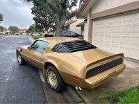 1979 Pontiac Firebird for sale in Michigan (ID-127369)