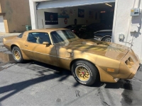 1979 Pontiac Firebird for sale in Michigan (ID-127369)