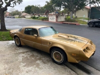 1979 Pontiac Firebird for sale in Michigan (ID-127369)