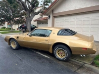 1979 Pontiac Firebird for sale in Michigan (ID-127369)