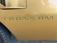 1979 Pontiac Firebird for sale in Riverhead, New York (ID-135828)