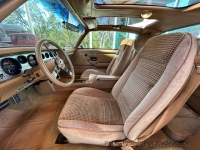 1979 Pontiac Firebird for sale in Riverhead, New York (ID-135828)