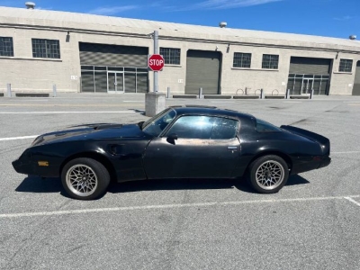 1979 Pontiac Firebird for sale