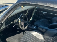 1979 Pontiac Firebird for sale in Michigan (ID-136553)