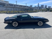 1979 Pontiac Firebird for sale in Michigan (ID-136553)