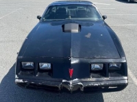 1979 Pontiac Firebird for sale in Michigan (ID-136553)