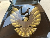 1979 Pontiac Firebird for sale in Riverhead, New York (ID-138247)