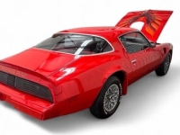 1979 Pontiac Firebird for sale in Addison, Illinois (ID-142532)