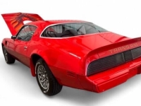 1979 Pontiac Firebird for sale in Addison, Illinois (ID-142532)