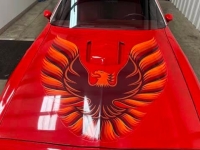1979 Pontiac Firebird for sale in Addison, Illinois (ID-142532)