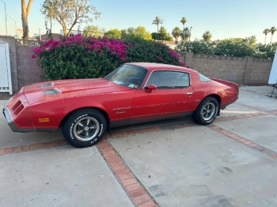 1979 Pontiac Firebird for sale