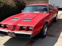 1979 Pontiac Firebird for sale in Michigan (ID-143345)