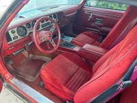 1979 Pontiac Firebird for sale in Michigan (ID-143345)