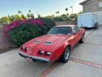 1979 Pontiac Firebird for sale in Michigan (ID-143345)