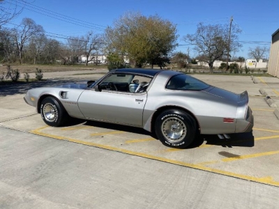 1979 Pontiac Firebird for sale