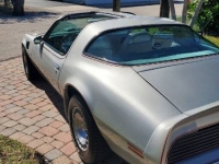 1979 Pontiac Firebird for sale in Michigan (ID-145069)