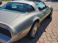 1979 Pontiac Firebird for sale in Michigan (ID-145069)