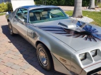 1979 Pontiac Firebird for sale in Michigan (ID-145069)