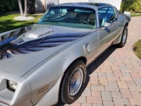 1979 Pontiac Firebird for sale in Michigan (ID-145069)