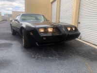1979 Pontiac Firebird for sale in Michigan (ID-145696)