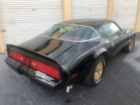 1979 Pontiac Firebird for sale in Michigan (ID-145696)