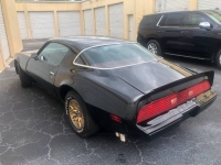 1979 Pontiac Firebird for sale in Michigan (ID-145696)