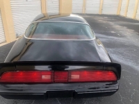 1979 Pontiac Firebird for sale in Michigan (ID-145696)