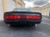 1979 Pontiac Firebird for sale in Michigan (ID-145696)