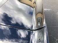 1979 Pontiac Firebird for sale in Michigan (ID-145696)