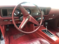 1979 Pontiac Firebird for sale in Michigan (ID-145696)