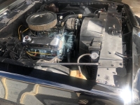 1979 Pontiac Firebird for sale in Michigan (ID-145696)