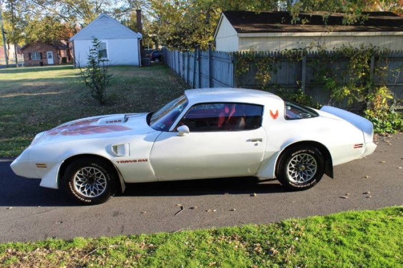 1979 Pontiac Firebird for sale in Michigan (ID-161183)